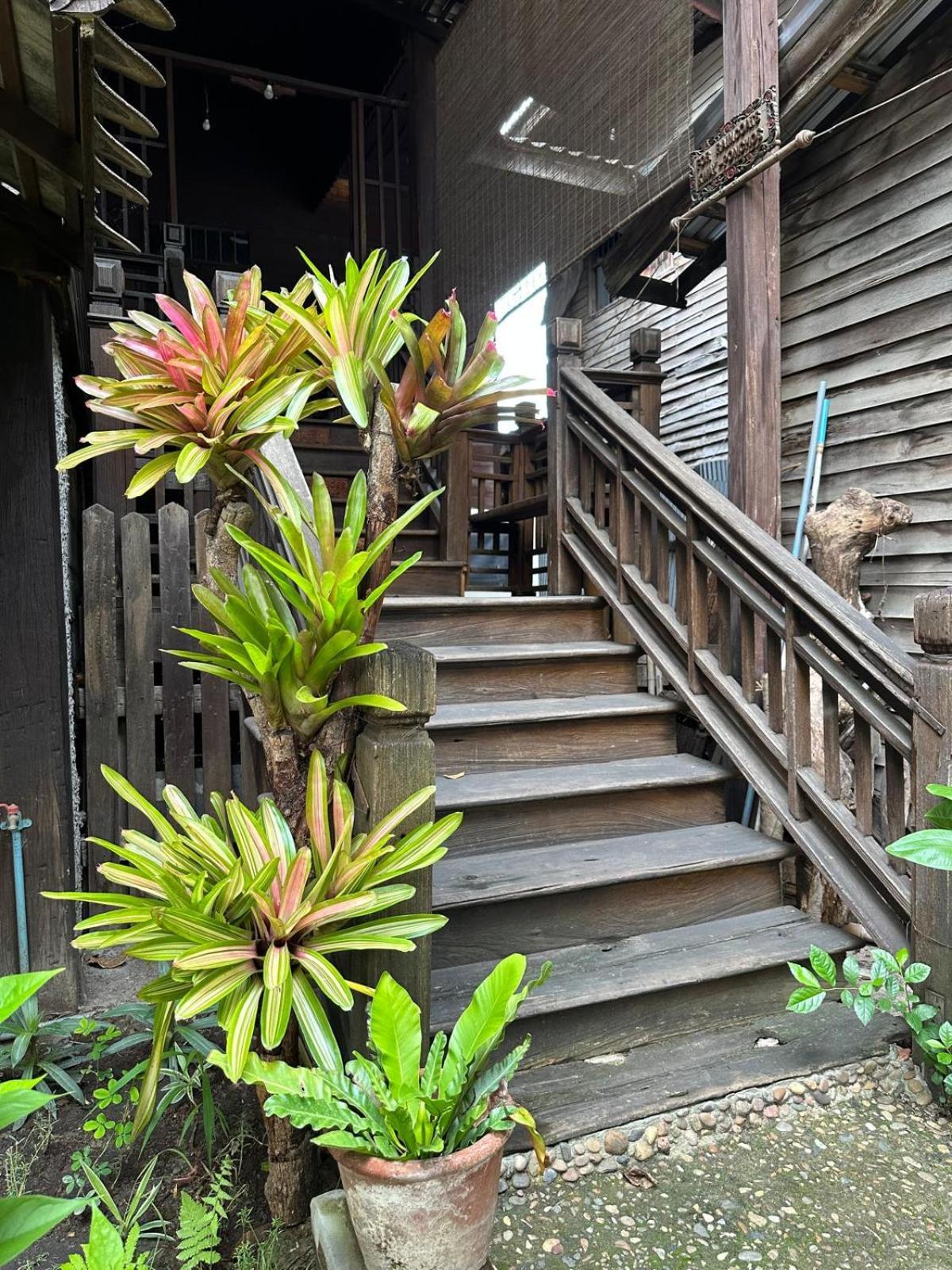 Cozy Nest Cnx Chiang Mai Exterior foto